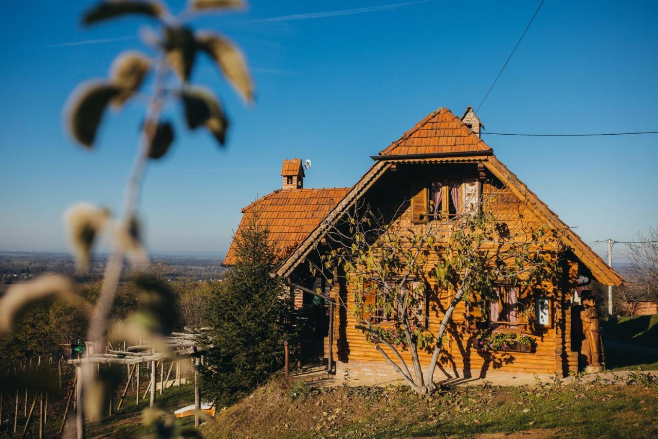 Holiday Home Wine & Relax Sveti Martin Na Muri Gornji Koncovcak 외부 사진
