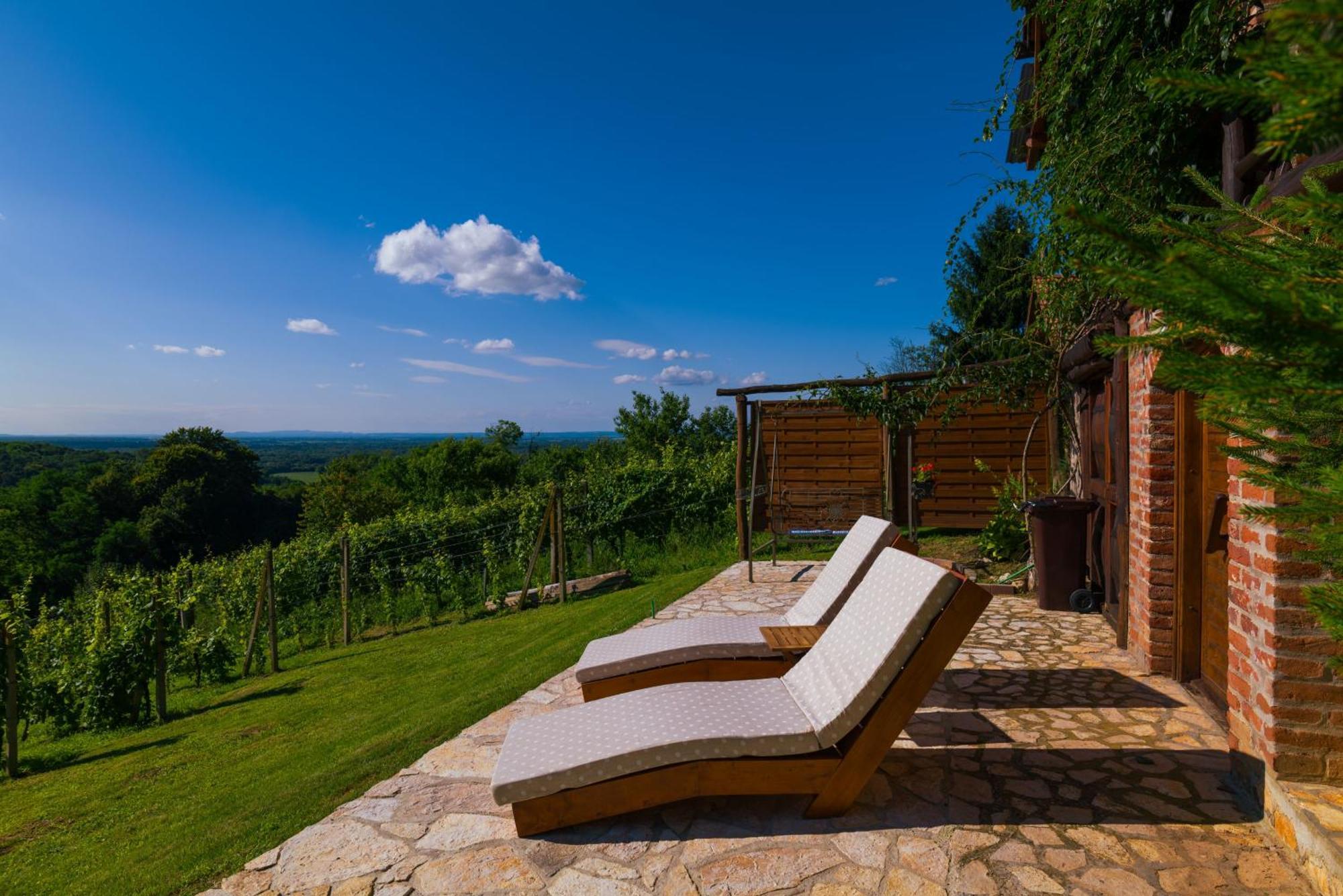 Holiday Home Wine & Relax Sveti Martin Na Muri Gornji Koncovcak 외부 사진