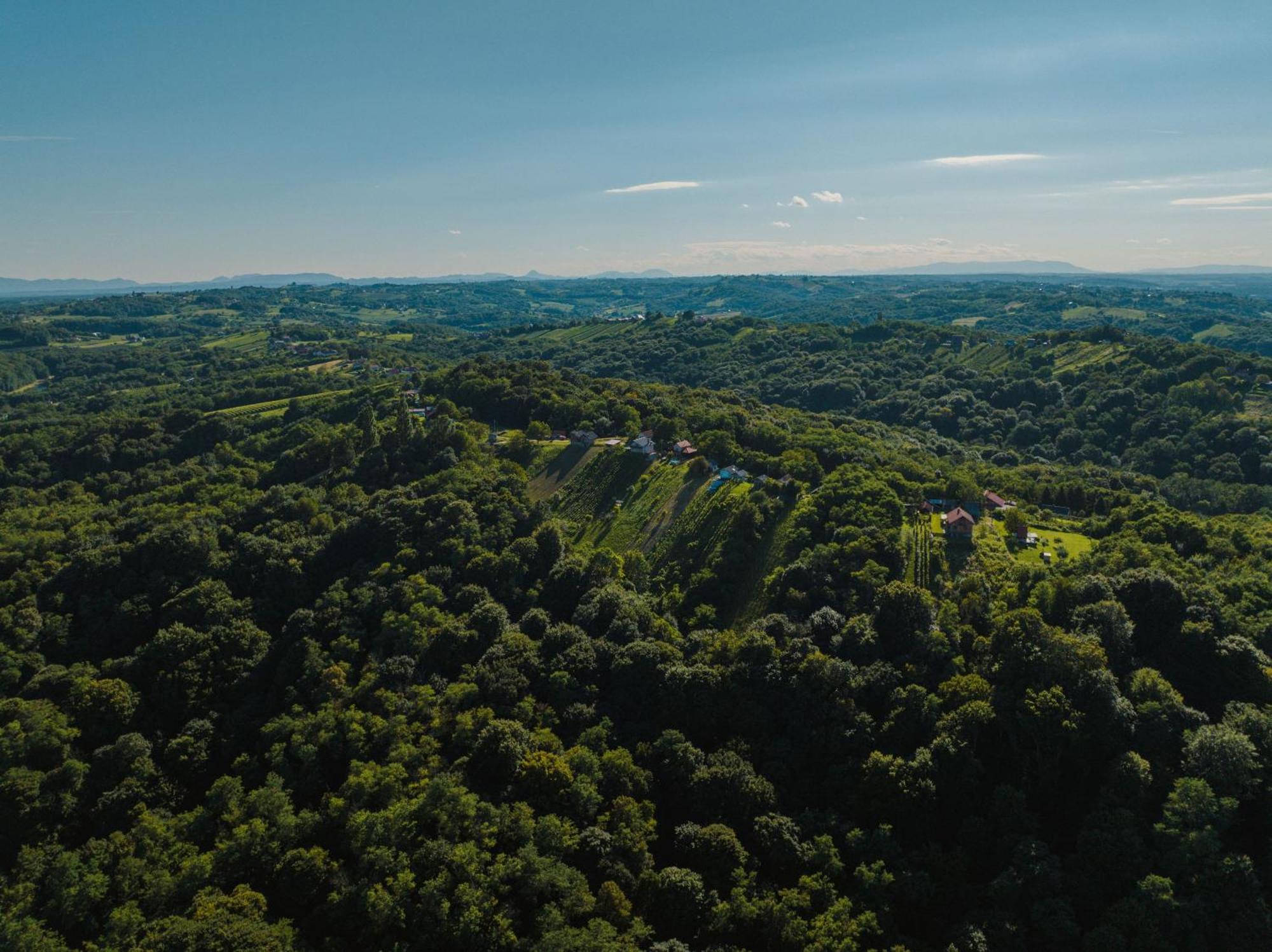 Holiday Home Wine & Relax Sveti Martin Na Muri Gornji Koncovcak 외부 사진