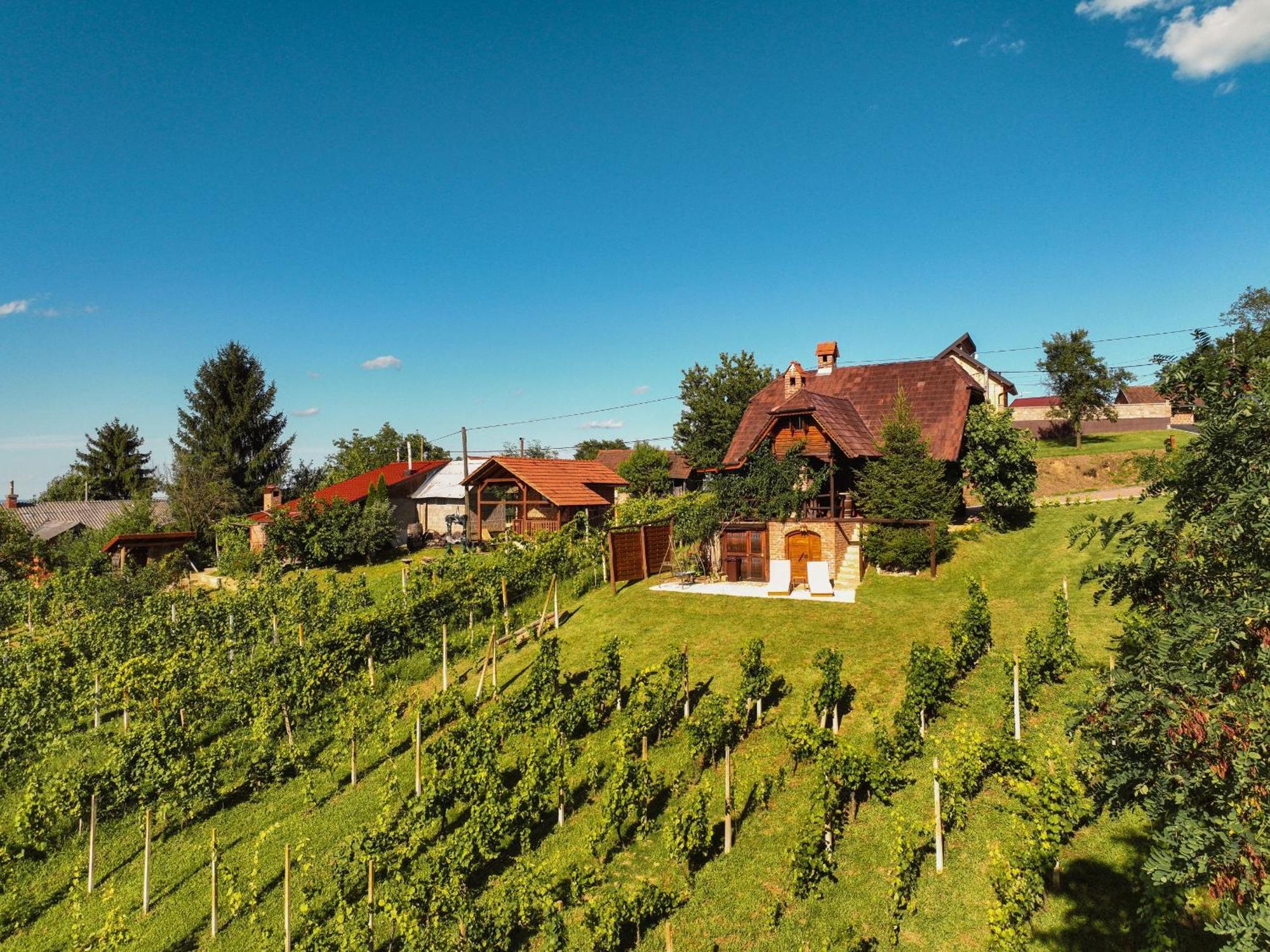 Holiday Home Wine & Relax Sveti Martin Na Muri Gornji Koncovcak 외부 사진