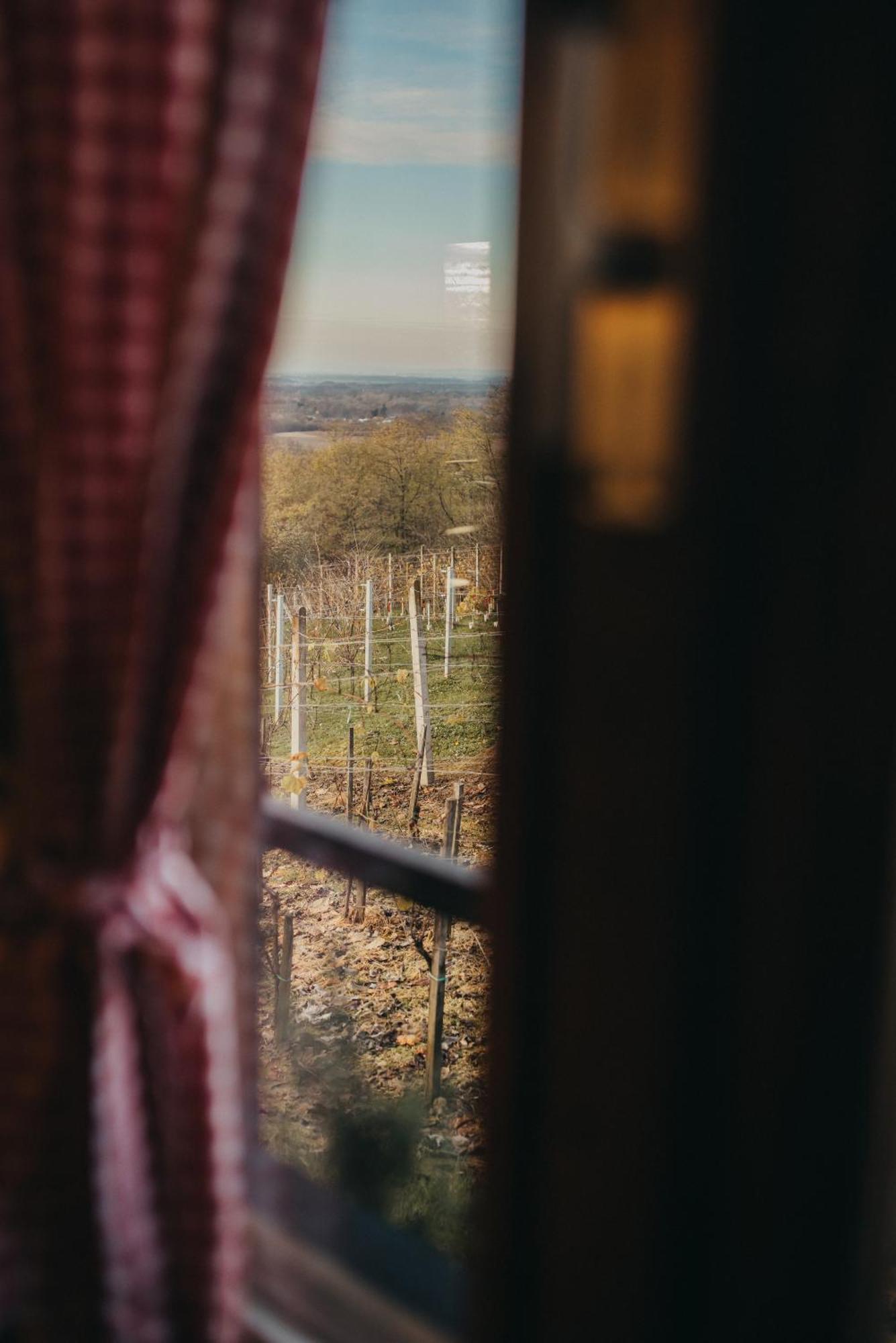 Holiday Home Wine & Relax Sveti Martin Na Muri Gornji Koncovcak 외부 사진