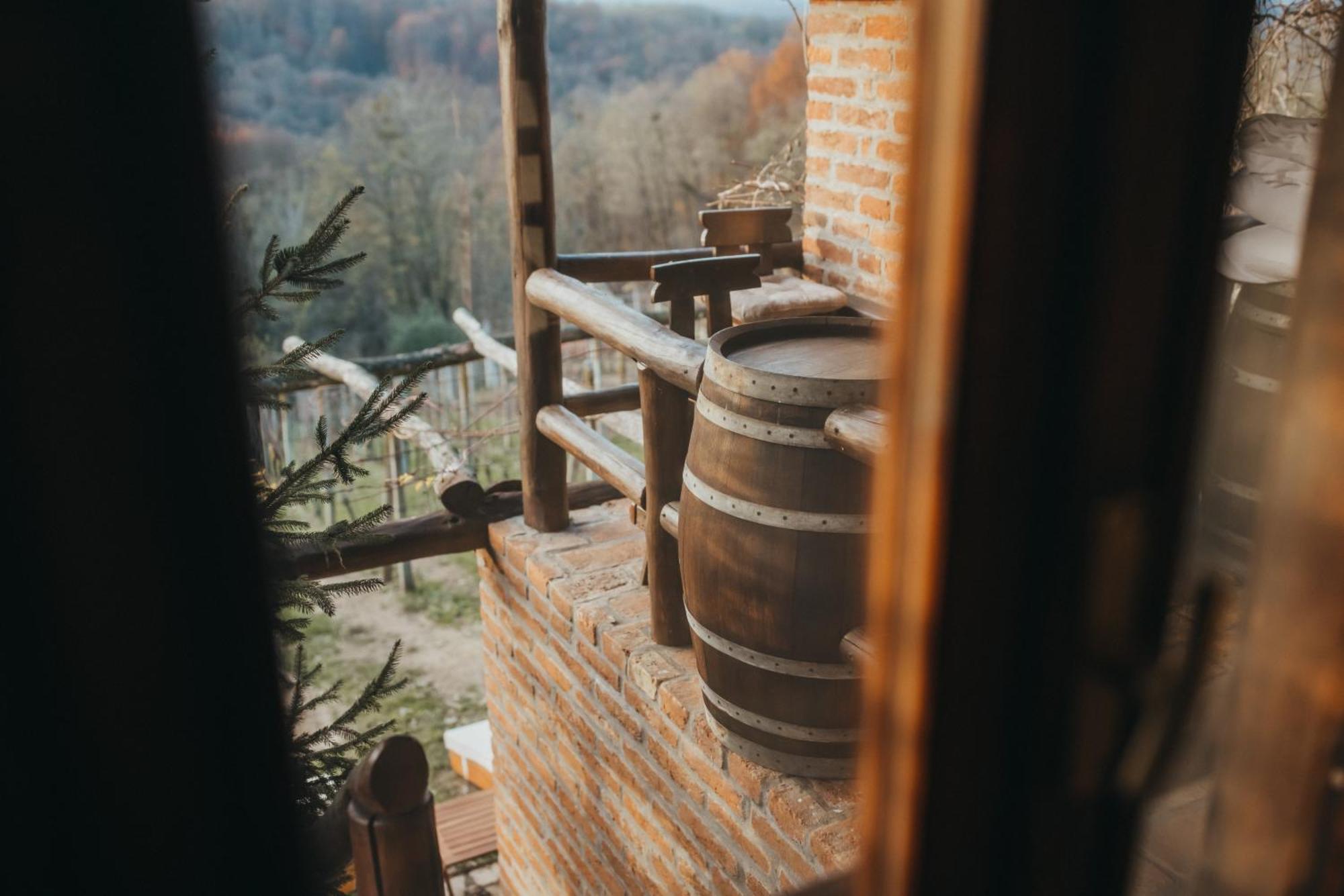 Holiday Home Wine & Relax Sveti Martin Na Muri Gornji Koncovcak 외부 사진